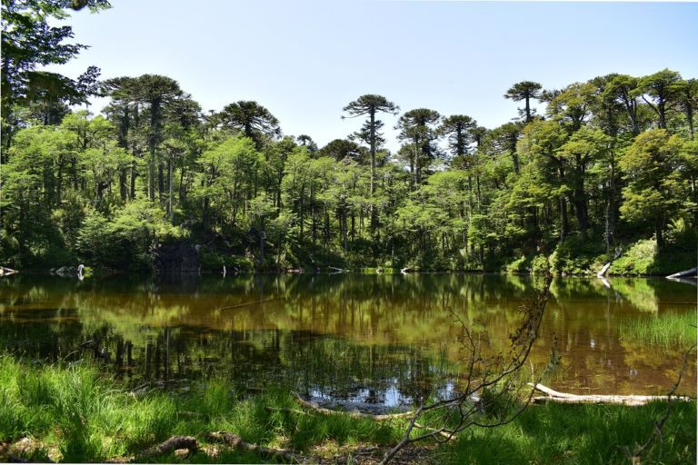 Trekking El Cañi
