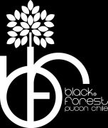 WhatsApp Image 2026-04-11 at 7.12.04 PM